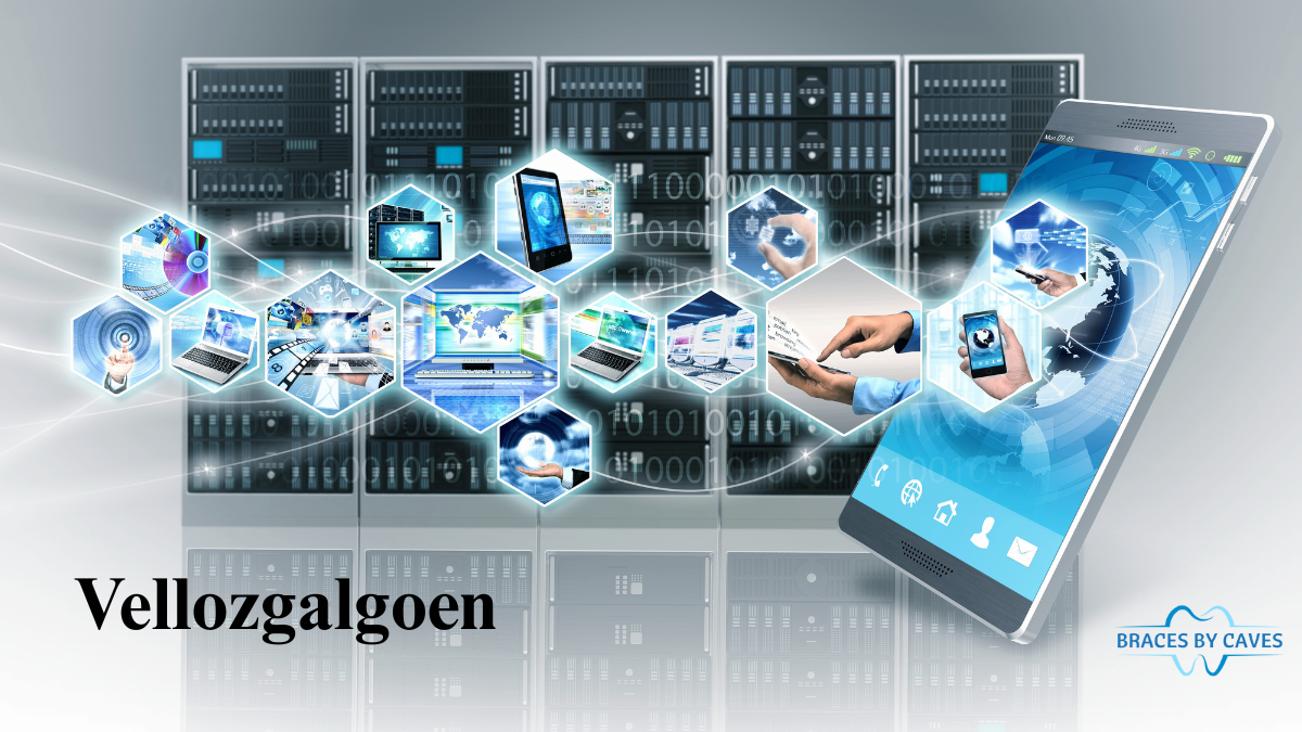 Understanding Vellozgalgoen: The Fastest Canine of the Spanish Countryside